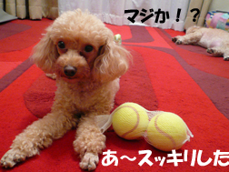 テニスボールでストレッチ